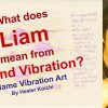 What is the name Liam, meaning from Name Vibration?