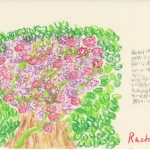 meaning of the name Rachel by Name vibration art